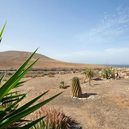 La Solapa Pájara